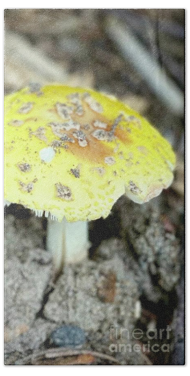 Mushroom Hand Towel featuring the photograph Yellow mushroom by Deena Withycombe