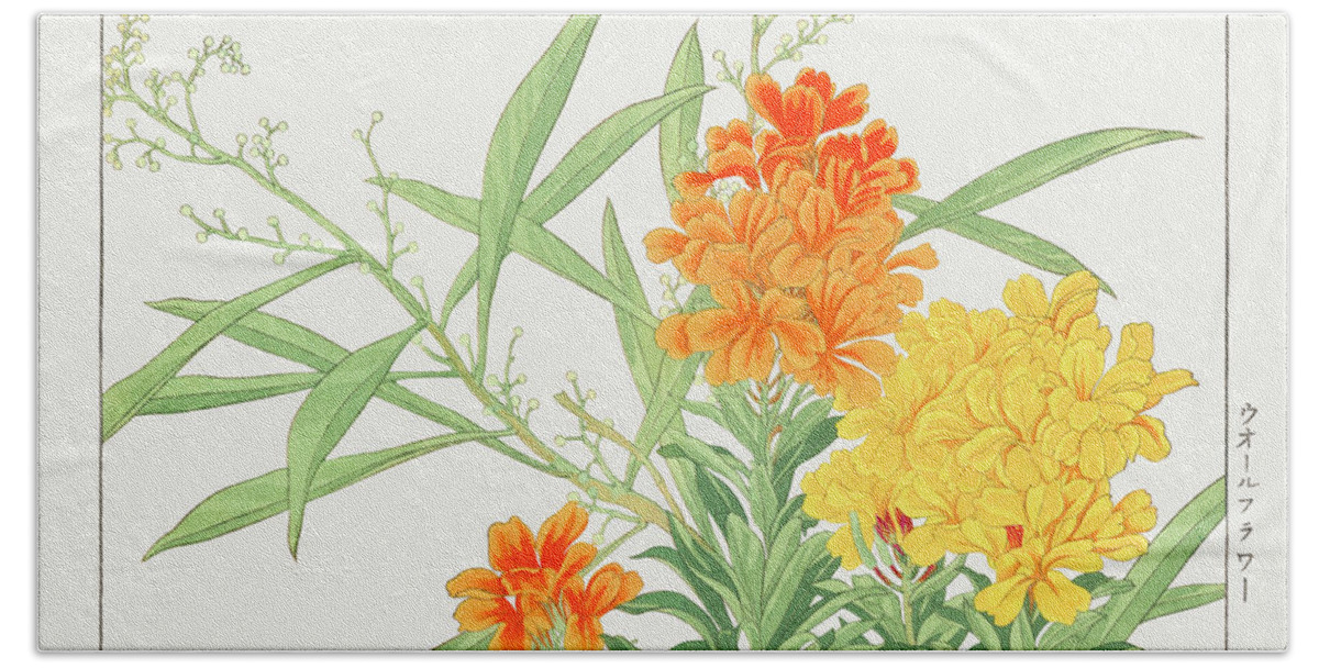 Vintage Flower Illustrations Bath Towel featuring the digital art Yellow, Orange Wallflower - Ukiyo e art - Vintage Japanese woodblock art - Seiyo SOKA ZUFU by Studio Grafiikka