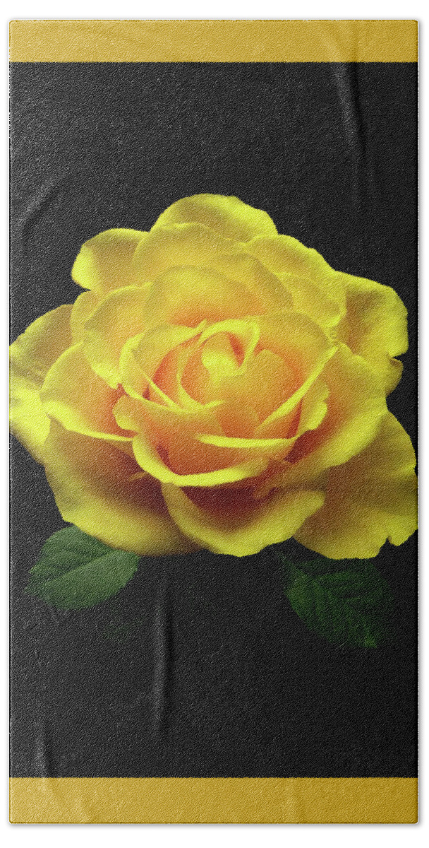 Rose Hand Towel featuring the photograph Yellow Rose 6 by Johanna Hurmerinta