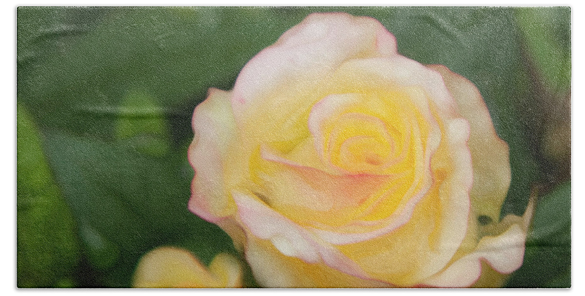 Yellow Rose Bath Towel featuring the photograph Yellow Rose by Theresa Tahara