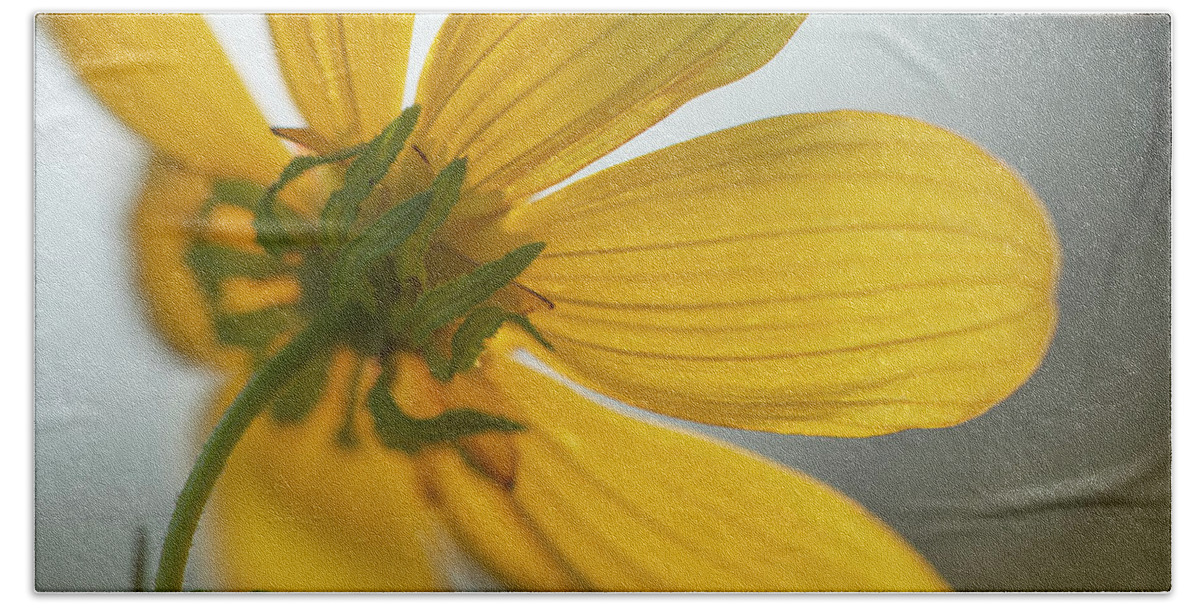 Daisy Hand Towel featuring the photograph Yellow Summer Daisy Macro by Phil And Karen Rispin