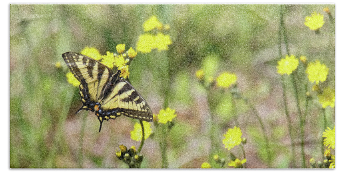 Yellow Swallowtail Butterfly Bath Towel featuring the photograph Yellow Swallowtail by Brook Burling