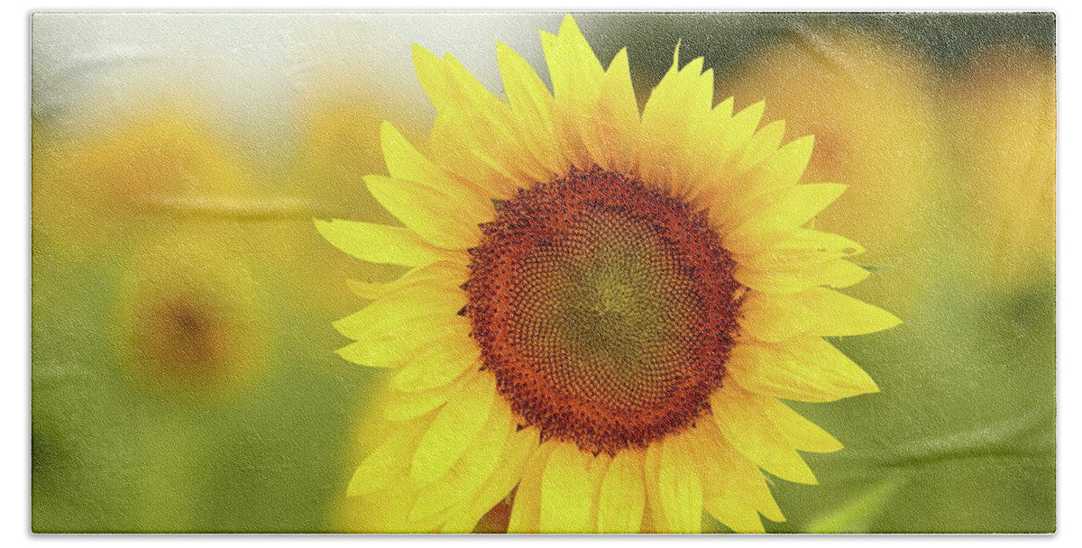 Sunflower Bath Towel featuring the photograph Yooo Hooo by Lens Art Photography By Larry Trager