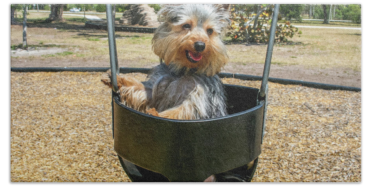 Animal Hand Towel featuring the photograph Yorkie Puppy in Swing by Dawn Richards