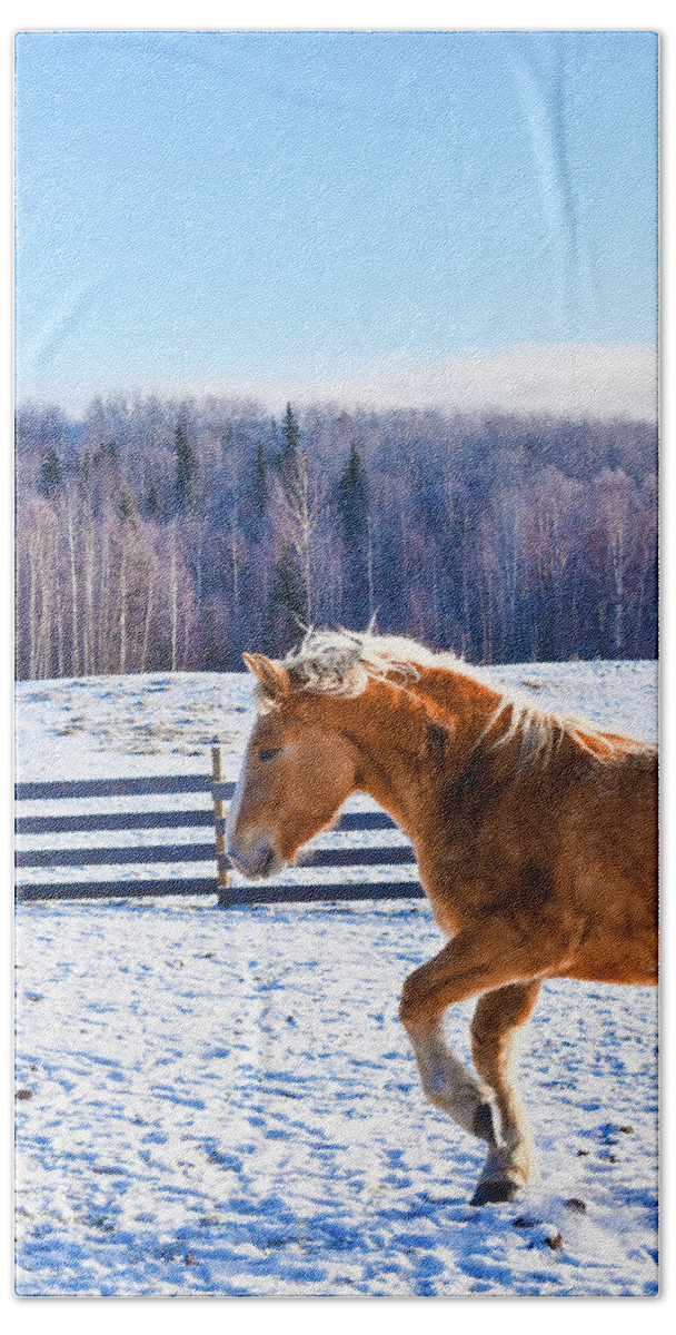 Winter Bath Towel featuring the photograph Young Juno by Listen To Your Horse