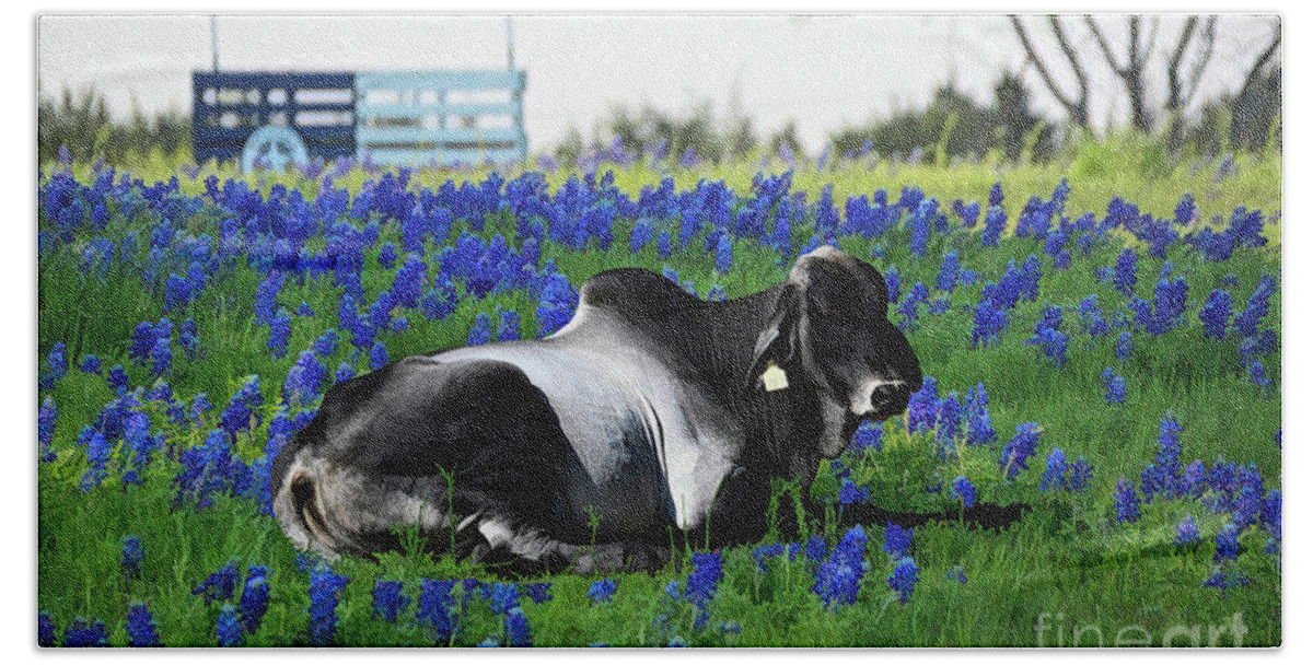 Zebu Hand Towel featuring the photograph Zebu Bull Relaxing in Blue Bonnet Field by Diana Mary Sharpton