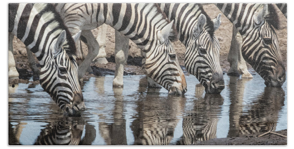 Plains Zebra Bath Towel featuring the photograph Zebras at Chudob Waterhole by Belinda Greb