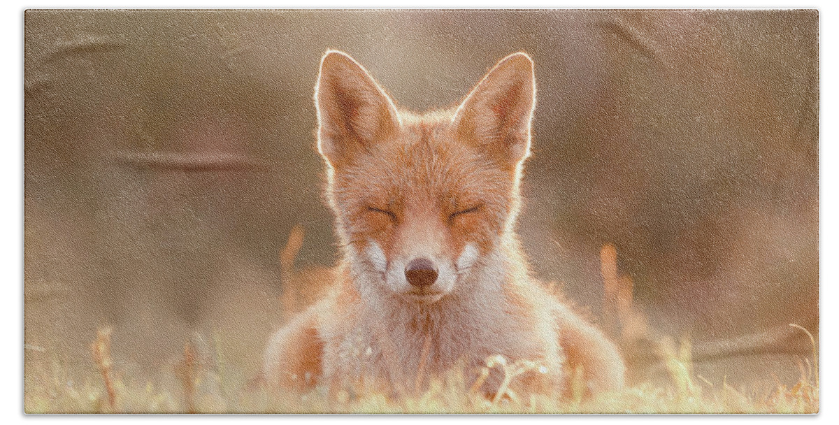 Zen Fox Hand Towel featuring the photograph Zen Fox Series - Chill as a Middle Name by Roeselien Raimond