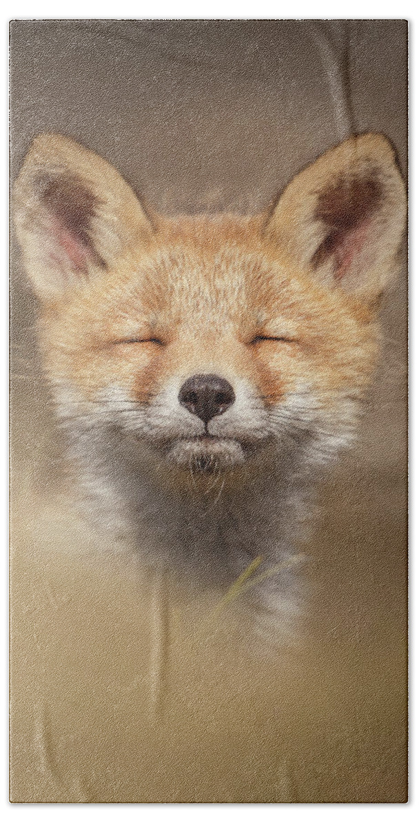 Zen Fox Hand Towel featuring the photograph Zen Fox Series - Zen Fox Baby by Roeselien Raimond