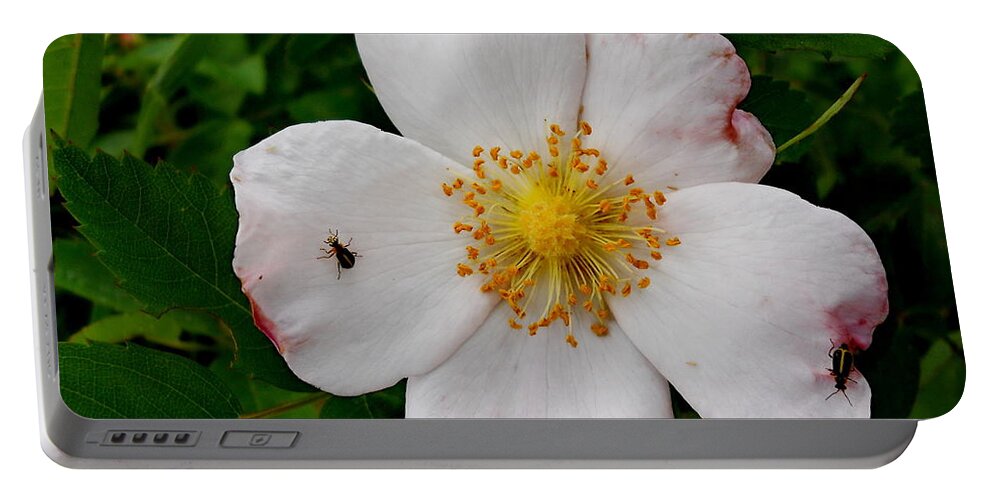 Flower Portable Battery Charger featuring the photograph Going Hiking by Yolanda Raker