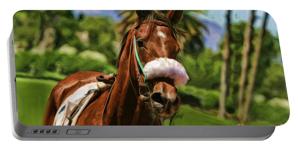 Horse Portable Battery Charger featuring the photograph Horse Cava Kavia by Blake Richards