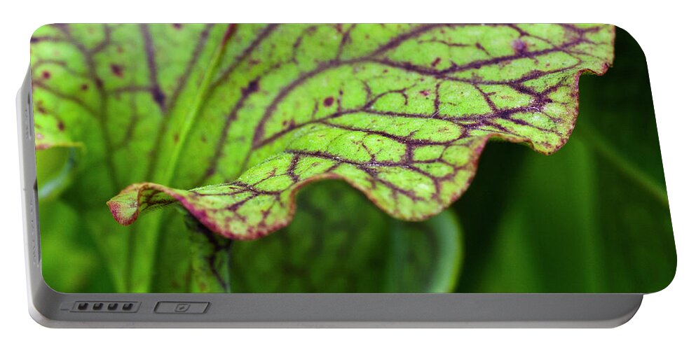 Pitfall Trap Portable Battery Charger featuring the photograph Pitcher Plants by Heiko Koehrer-Wagner