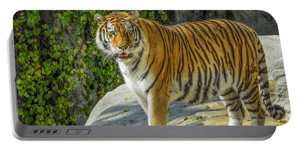 Tiger Portable Battery Charger featuring the photograph Tiger Tiger by LeeAnn McLaneGoetz McLaneGoetzStudioLLCcom