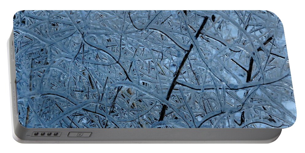 Ice Portable Battery Charger featuring the photograph Vegetation After Ice Storm by Daniel Reed
