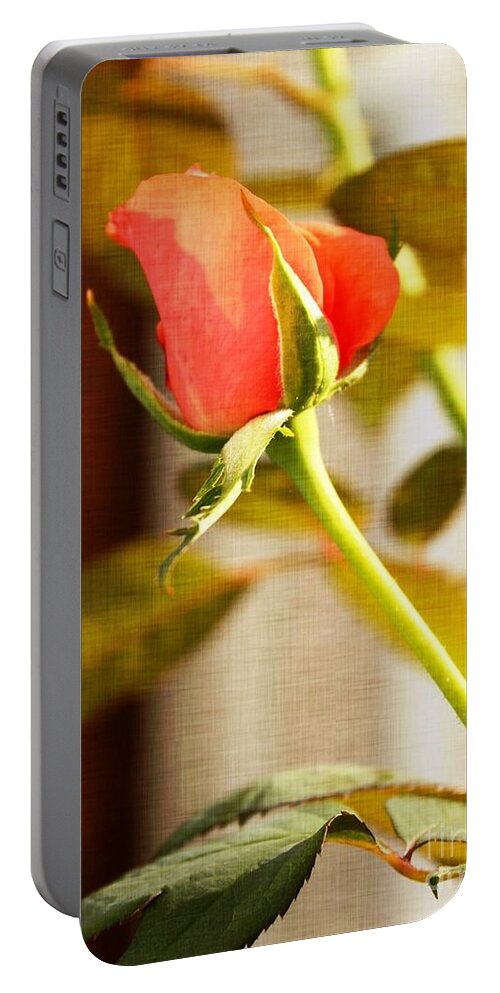 Rose Portable Battery Charger featuring the photograph Warmth and Desire by Judy Palkimas