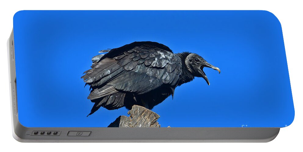  Portable Battery Charger featuring the photograph 23- Black Vulture #1 by Joseph Keane