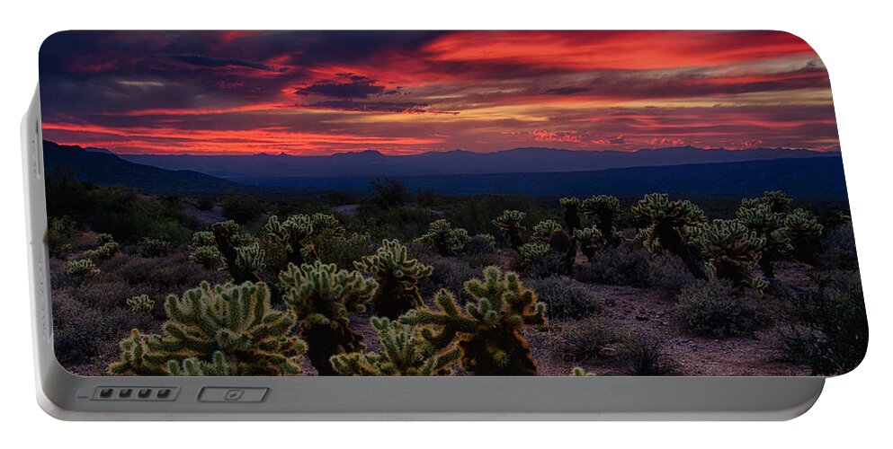 Sunset Portable Battery Charger featuring the photograph A Cholla Sunset #1 by Saija Lehtonen