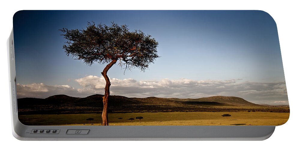 Africa Portable Battery Charger featuring the photograph Acacia Sunset Shadow #1 by Mike Gaudaur