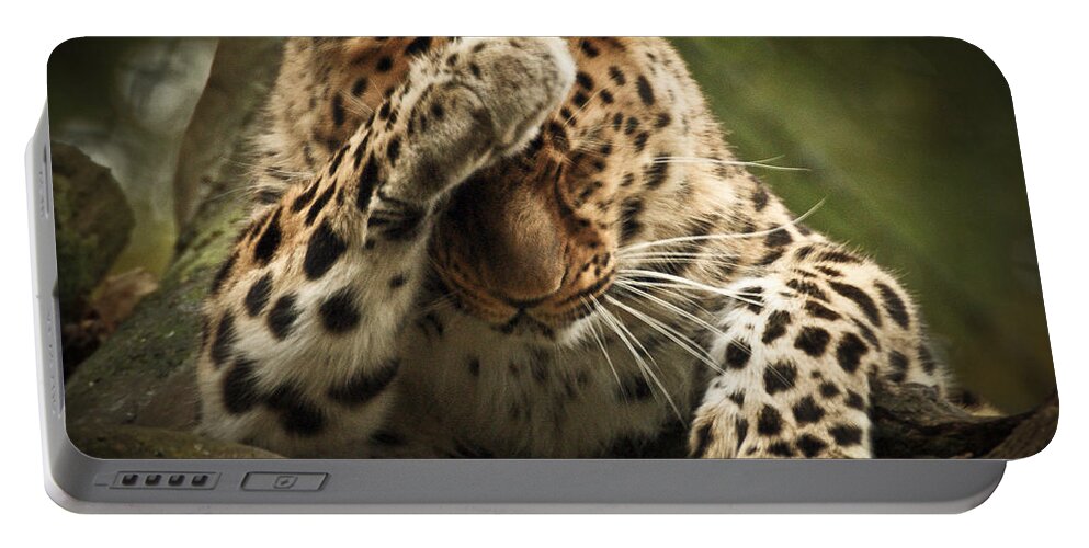 Animal Portable Battery Charger featuring the photograph Amur Leopard by Chris Boulton