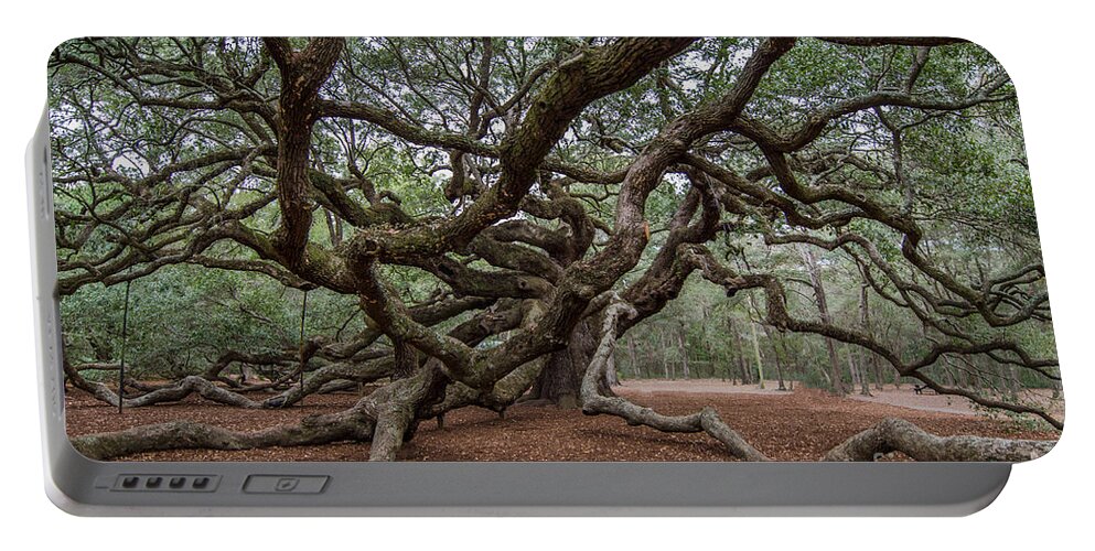 Angel Oak Tree Portable Battery Charger featuring the photograph Angel Limbs #1 by Dale Powell