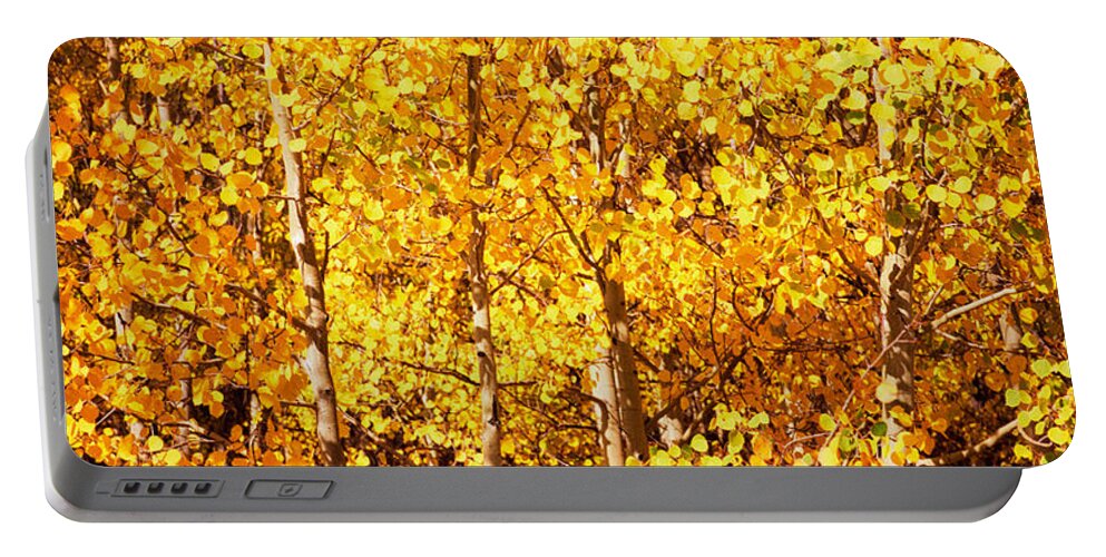 Photography Portable Battery Charger featuring the photograph Aspen Trees In Autumn, Colorado, Usa #1 by Panoramic Images