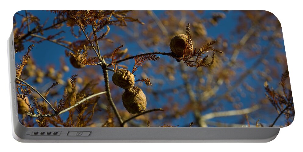 Coniferous Portable Battery Charger featuring the photograph Autumn coniferous #1 by Mats Silvan