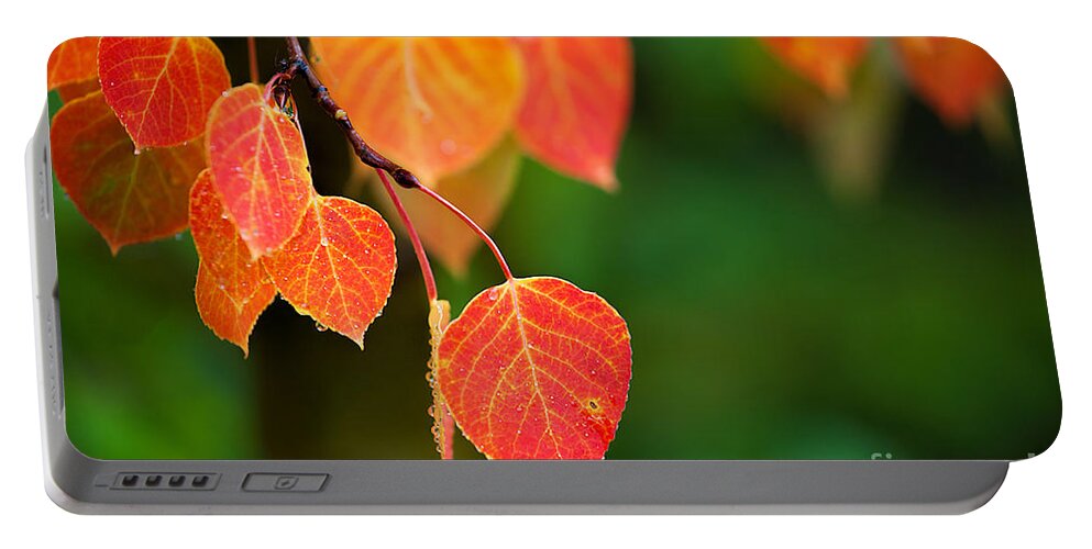 Autumn Colors Portable Battery Charger featuring the photograph Autumn Curtain by Jim Garrison