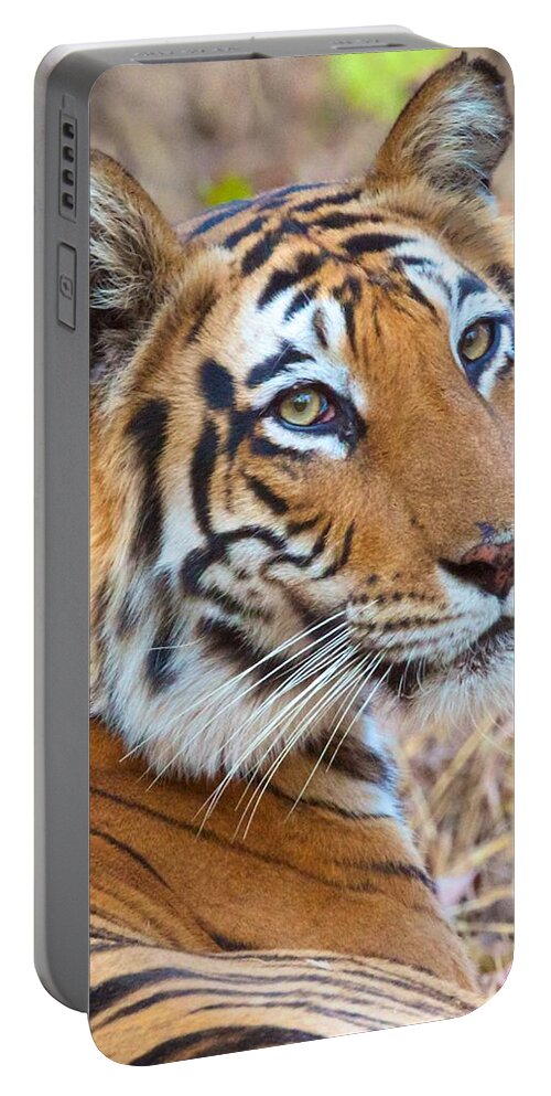 India Portable Battery Charger featuring the photograph Bandhavgarh Tigeress #1 by David Beebe