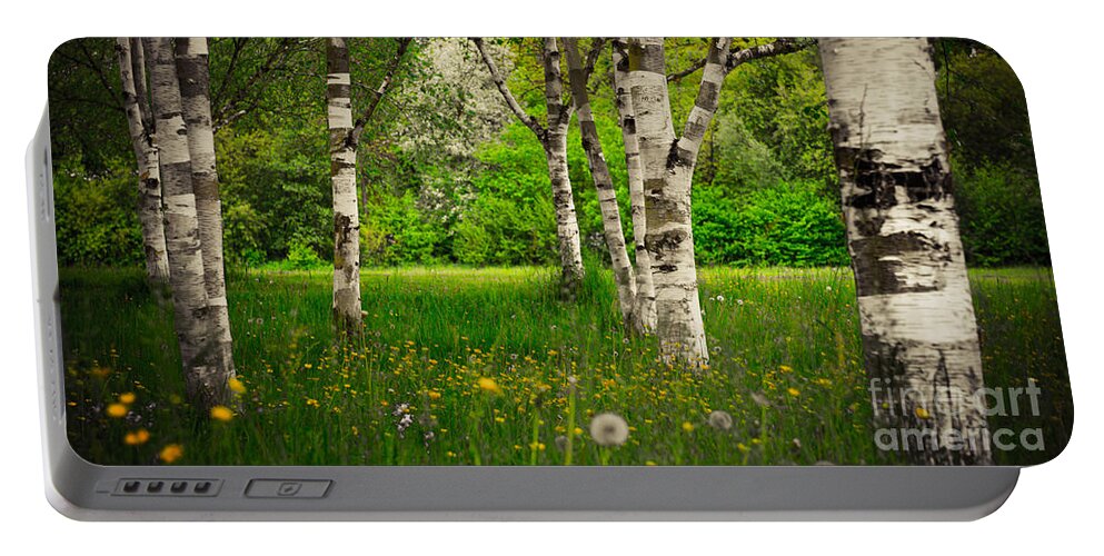 Birch Portable Battery Charger featuring the photograph Birches by Hannes Cmarits