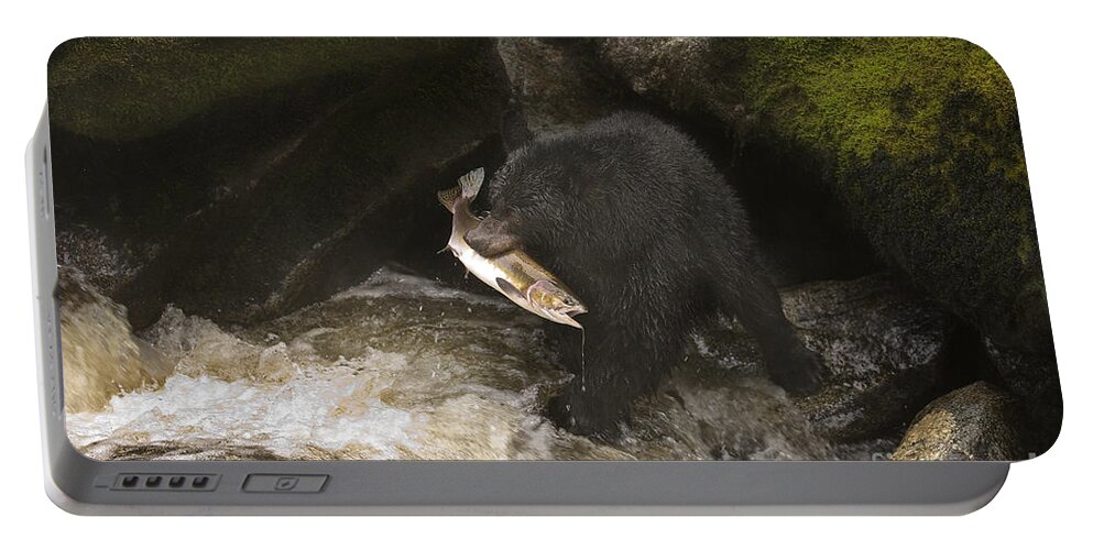 Animal Portable Battery Charger featuring the photograph Black Bear With Salmon #1 by Ron Sanford
