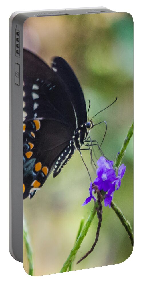 Black Swallowtail Portable Battery Charger featuring the photograph Black Swallowtail #1 by Jane Luxton
