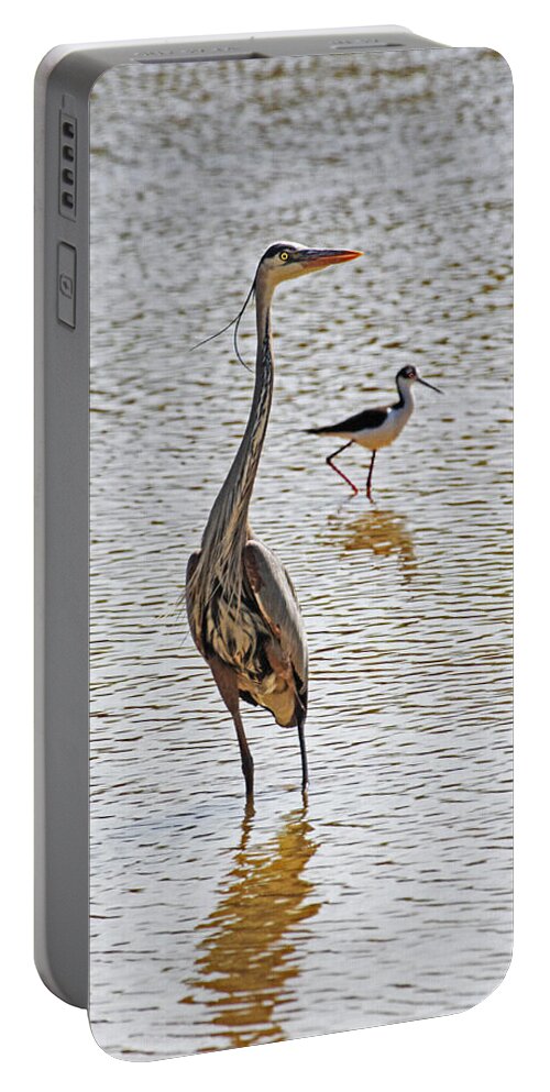 Blue Heron And Stilt Portable Battery Charger featuring the photograph Blue Heron And Stilt #1 by Tom Janca