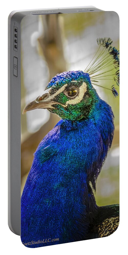 Animals Portable Battery Charger featuring the photograph Blue Peacock #1 by LeeAnn McLaneGoetz McLaneGoetzStudioLLCcom