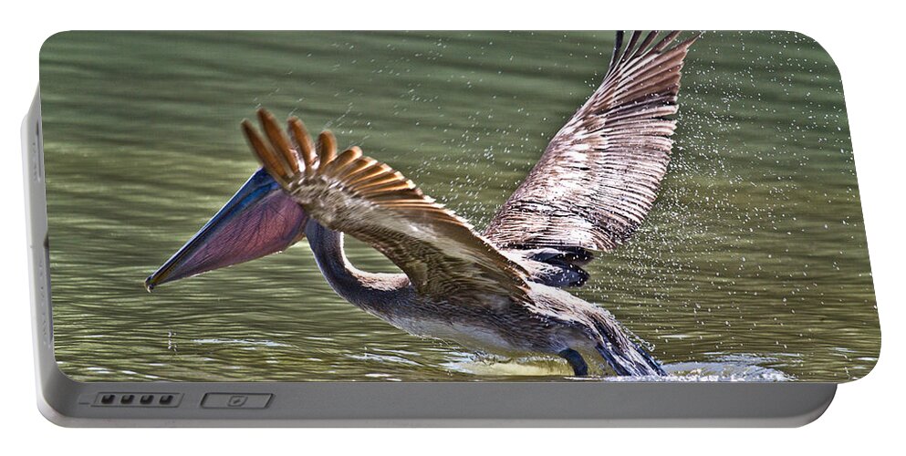 Brown Portable Battery Charger featuring the photograph Brown Pelican #1 by Betsy Knapp