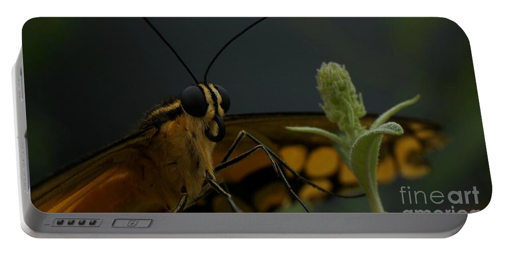 Animal Portable Battery Charger featuring the photograph Butterfly Kiss #2 by MSVRVisual Rawshutterbug