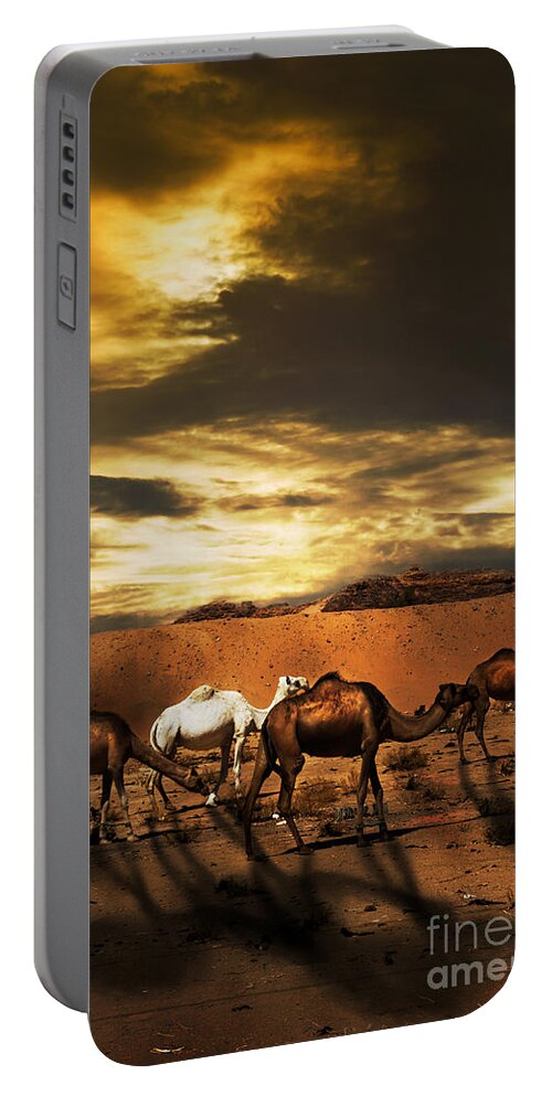 Camel Portable Battery Charger featuring the photograph Camels by Jelena Jovanovic