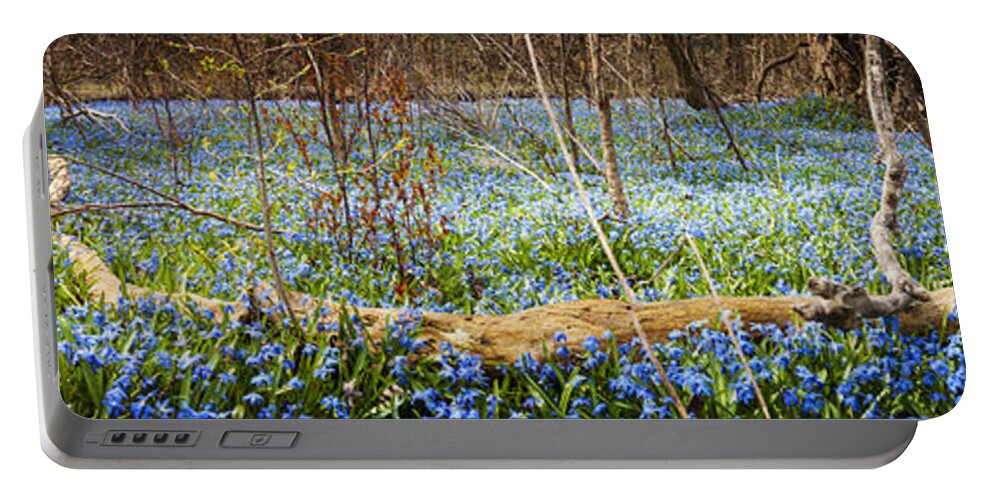 Flowers Portable Battery Charger featuring the photograph Carpet of blue flowers in spring forest 2 by Elena Elisseeva