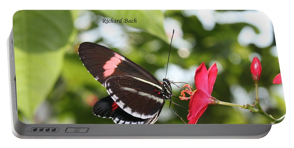 Insect Portable Battery Charger featuring the photograph Caterpiller to a Butterfly by Sandra Clark