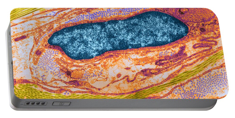 Science Portable Battery Charger featuring the photograph Collagen And Fibroblast, Tem #2 by David M Phillips