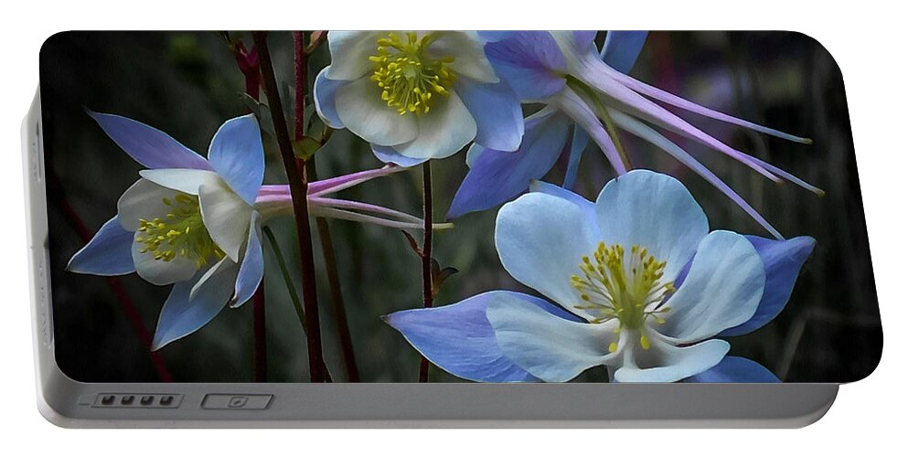 Artwork Portable Battery Charger featuring the digital art Columbines #2 by Ernest Echols