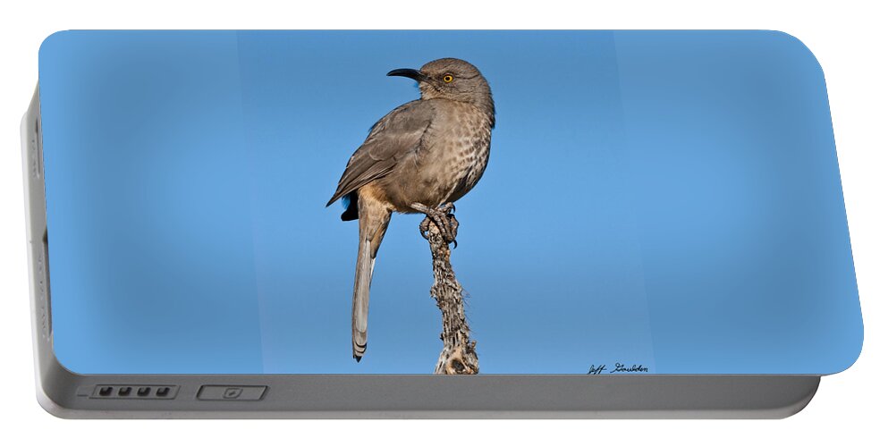 Animal Portable Battery Charger featuring the photograph Curve-Billed Thrasher #1 by Jeff Goulden