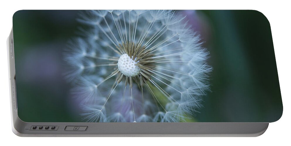 Landscape Portable Battery Charger featuring the photograph Dandelion #1 by Alana Ranney