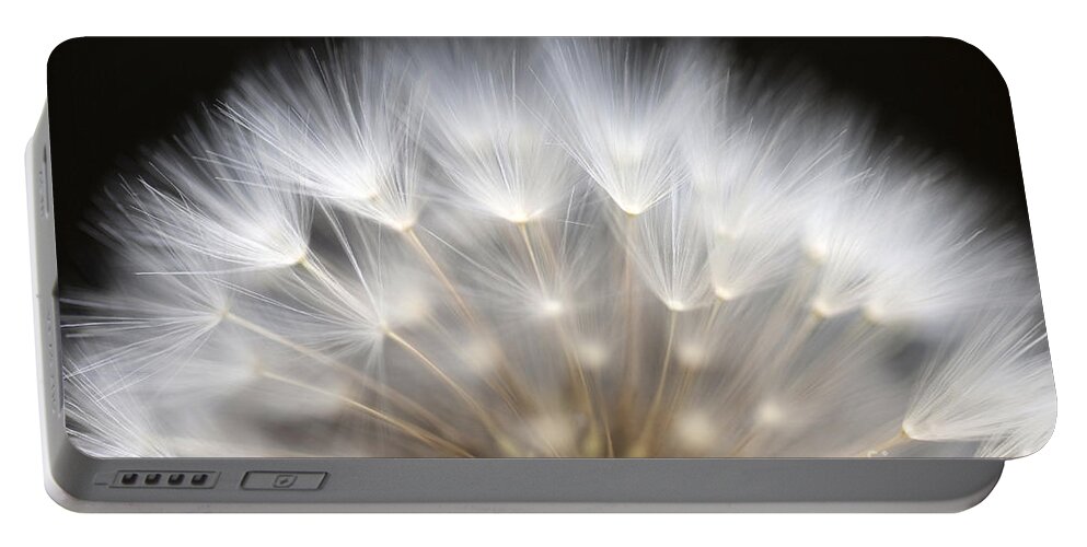 Dandelion Portable Battery Charger featuring the photograph Dandelion #1 by Jim Corwin