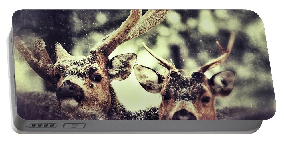 Closeup Portable Battery Charger featuring the photograph Deer in the snow #2 by Nick Biemans
