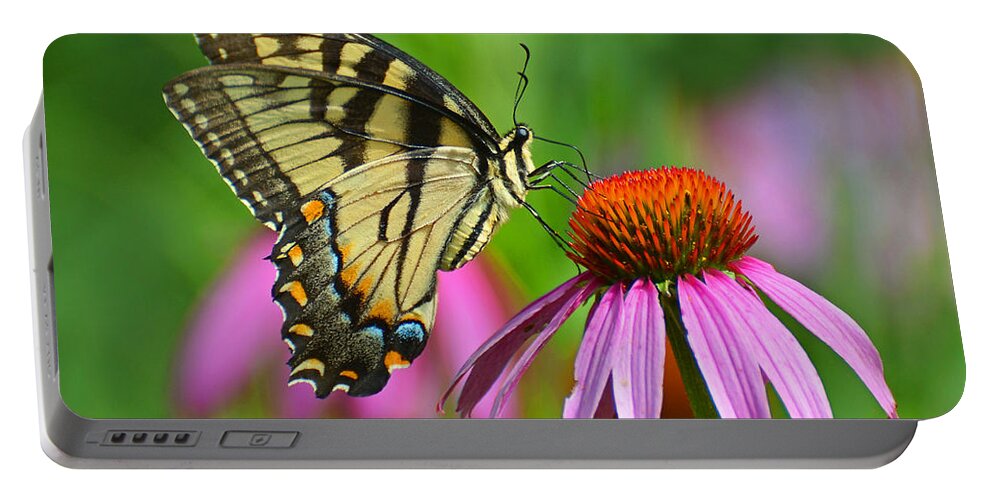 Butterfly Portable Battery Charger featuring the photograph Eastern Tiger Swallowtail #1 by Rodney Campbell
