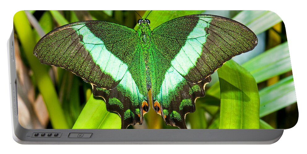 Nature Portable Battery Charger featuring the photograph Emerald Swallowtail Butterfly #1 by Millard H. Sharp