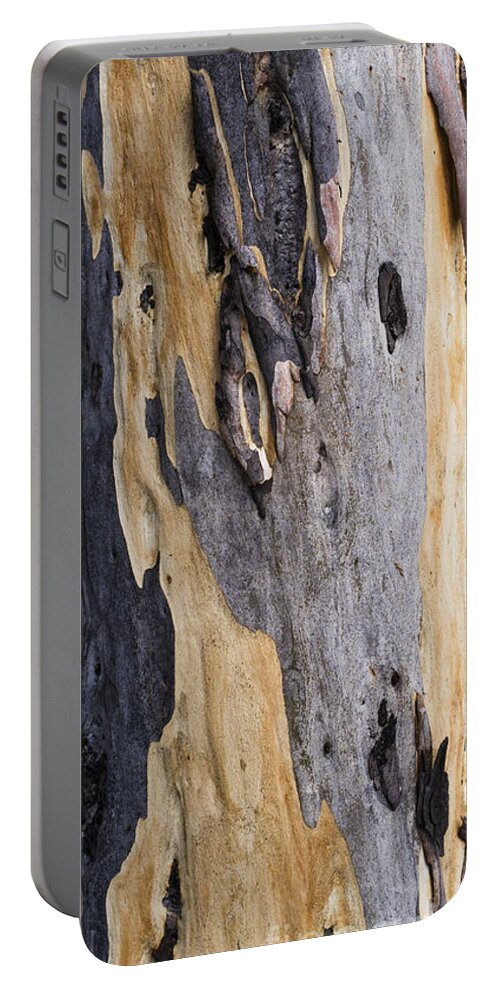 Australia Portable Battery Charger featuring the photograph Australia - Eucalyptus bark by Steven Ralser