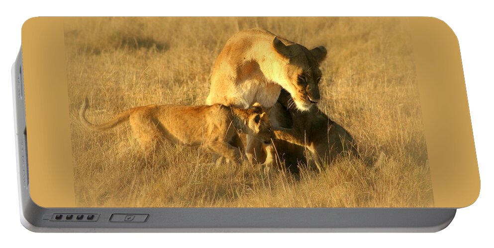 Lioness Portable Battery Charger featuring the photograph Family by Sue Long