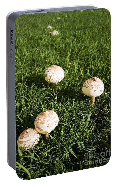 Countryside Portable Battery Charger featuring the photograph Field Of Mushrooms #1 by Jorgo Photography