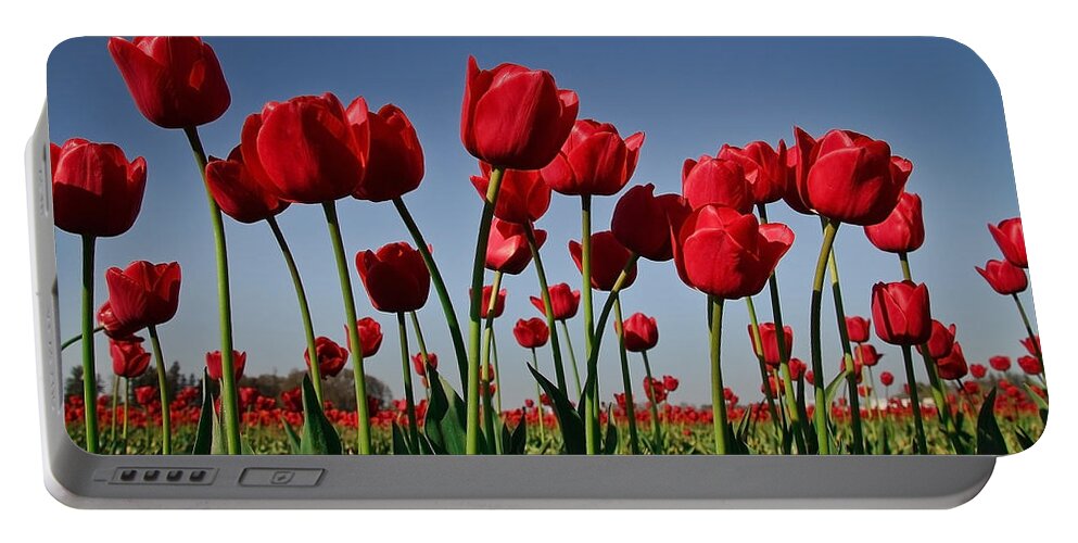 Tulips Portable Battery Charger featuring the photograph Field of Red Tulips by Athena Mckinzie